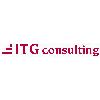 ITG consulting UG (haftungsbeschränkt) in Düsseldorf - Logo