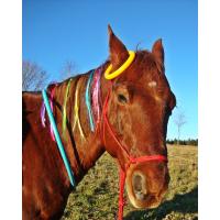 Therapeutisches Reiten 