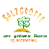 Salzgrotte am grünen Baum in Klingenthal in Sachsen - Logo