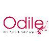 odile-profi-nails in Lüneburg - Logo