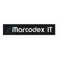 Marcodex IT in Oberviechtach - Logo