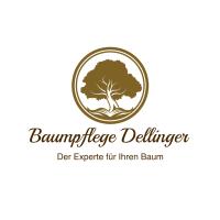 Baumpflege Dellinger in Geltendorf - Logo