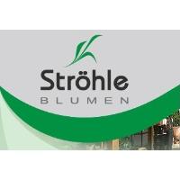 Blumen Ströhle Frank Bächtle in Geislingen an der Steige - Logo