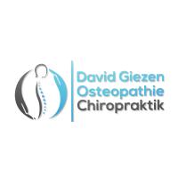 Heilpraktiker-Praxis für Osteopathie und Chiropraktik - David Giezen in Düsseldorf - Logo