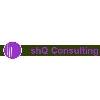 shQ Consulting in Rottenburg am Neckar - Logo