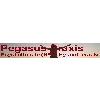 Pegasus Praxis in Tübingen - Logo