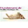 Hundepension & Hundetagesstätte Ludwig in Oberhausen Gemeinde Oberhausen Rheinhausen - Logo