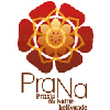 PraNa Praxis für Naturheilkunde, Kim-Julie Cezanne in Mörfelden Walldorf - Logo