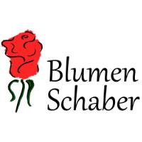 Blumen Schaber in Neckarhausen Gemeinde Nürtingen - Logo