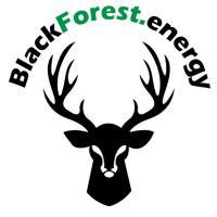 Blackforest.energy in Bühl in Baden - Logo