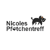 Nicoles Pfötchentreff Inh. Nicole Richter in Ehlen Stadt Stadthagen - Logo