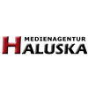 Haluska Handels- & Medienagentur in Neuberg in Hessen - Logo