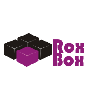 Rox Box Piercing Shop in Chemnitz - Logo