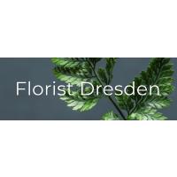 Florist Dresden in Dresden - Logo