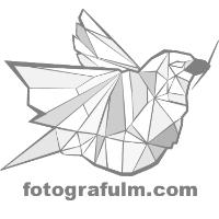 Fotograf ulm in Neu-Ulm - Logo