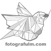 Fotograf ulm in Neu-Ulm - Logo
