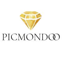 Picmondoo® – Onlineshop für Diamond Painting & DIY-Kunstwerke in Langweid am Lech - Logo
