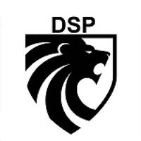 Detektei DSP Pfeffer in Lüdenscheid - Logo
