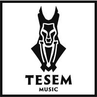 Tesem Music in Hürtgenwald - Logo