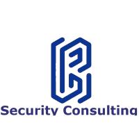 BFL Security Consulting in Offenburg - Logo