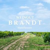 Weingut Brandt in Dittelsheim Heßloch - Logo