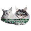 Torsten Fried und Kathrin Böttcher-Fried - Maine Coon Katzenzucht in Pritzwalk - Logo