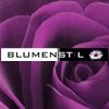 Blumenstil - Christina Weih in Bad Salzungen - Logo