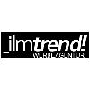 ilmtrend! Werbeagentur in Ilmenau in Thüringen - Logo