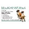 Hundeausbildung Irina Pfeifer in Rehfelde - Logo