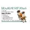 Hundeausbildung Irina Pfeifer in Rehfelde - Logo