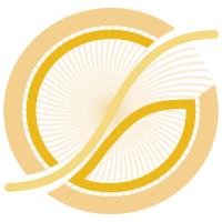 Golden Slam Consulting GmbH in Korschenbroich - Logo