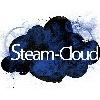 Steam-Cloud UG in Hausen Gemeinde Bad Überkingen - Logo