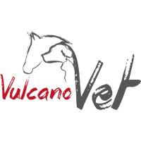 VulcanoVet GmbH in Haren an der Ems - Logo