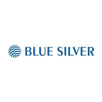 BLUE SILVER GmbH in Ismaning - Logo