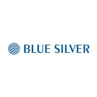 BLUE SILVER GmbH in Ismaning - Logo