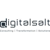 digitalsalt GmbH in Lüneburg - Logo