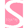 Selltic Agentur für Werbung in Moosburg an der Isar - Logo