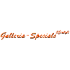 Galleria-Speciale in Steinen Kreis Lörrach - Logo