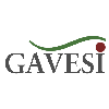 GAVESI in Ismaning - Logo