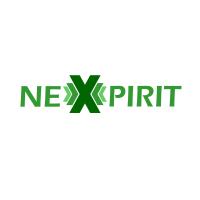 Nexpirit GmbH in Porta Westfalica - Logo