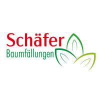 Baumfällungen Schäfer in Kerpen im Rheinland - Logo