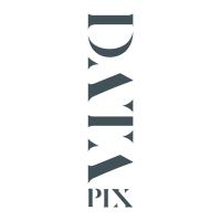 Datapix in Essen - Logo
