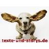 texte-und-storys - Claudia Roloff-Becker in Bielefeld - Logo