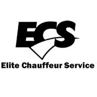 Elite Chauffeur Service in Frankfurt an der Oder - Logo