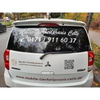 Mobile Tierheilpraxis Celle in Wathlingen - Logo