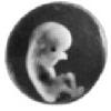Hilfe für Schwangere e.V. in Celle - Logo