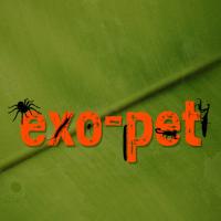 exo-pet in Burg in Dithmarschen - Logo