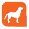 Hundetraining Bender in Duisburg - Logo