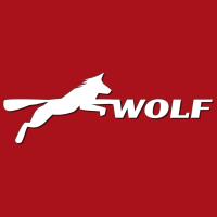 Reifen-und Autoservice Wolf in Reichenbach im Vogtland - Logo