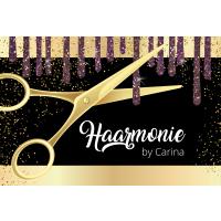 Haarmonie by Carina Friseursalon in Backnang - Logo